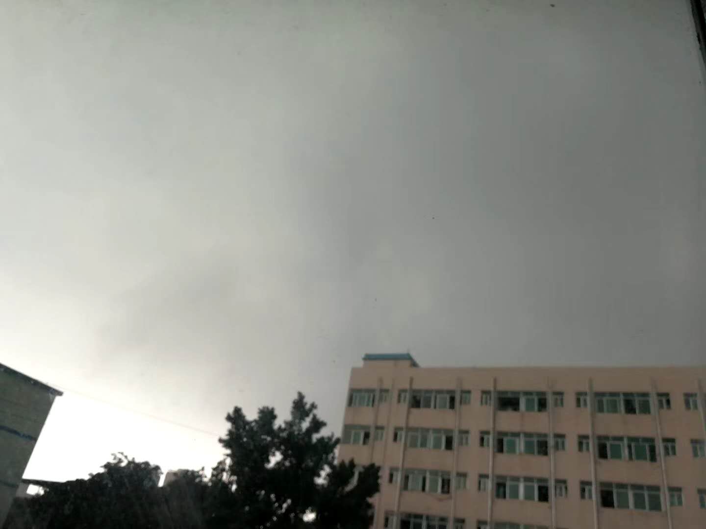 1558685534202679.jpg 1558685534202679.jpg